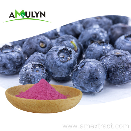 Blueberry Fruit Juice Extract Powder